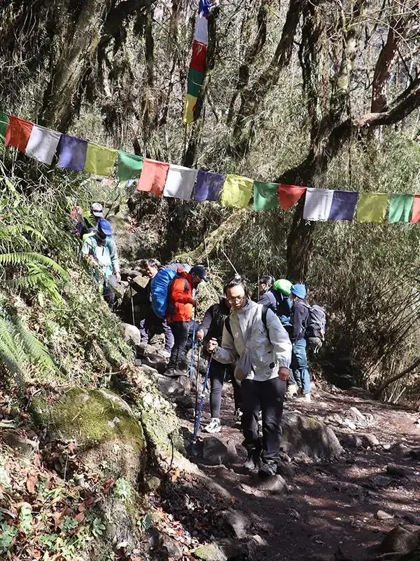 Trekking